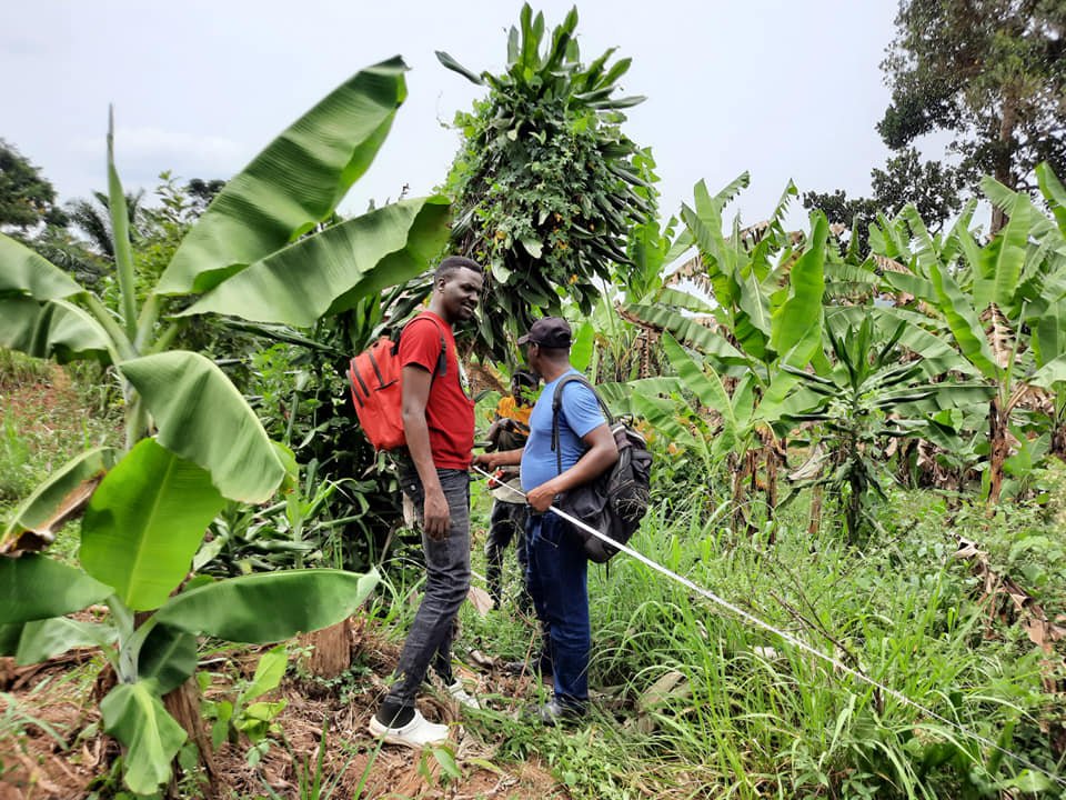 BUYING LAND BY GOD'S GRACE .