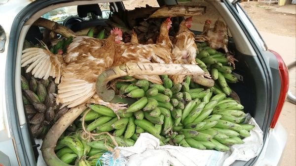 11 HOMES BLESSED WITH FOOD SURPRISE VISIT (RANDOM).